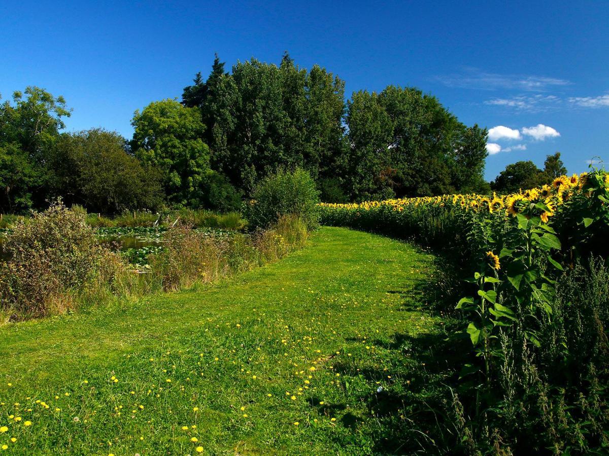 Birch Lodge Newton Abbot Buitenkant foto